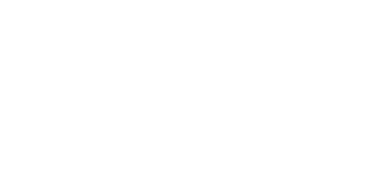 VFS Global logo